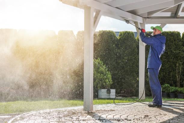 Best Fence Cleaning  in Chenango Bridge, NY